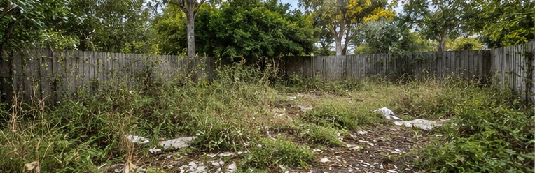 Estate back yard before cleanout: waist-high weeds, scattered debris and a failing fence